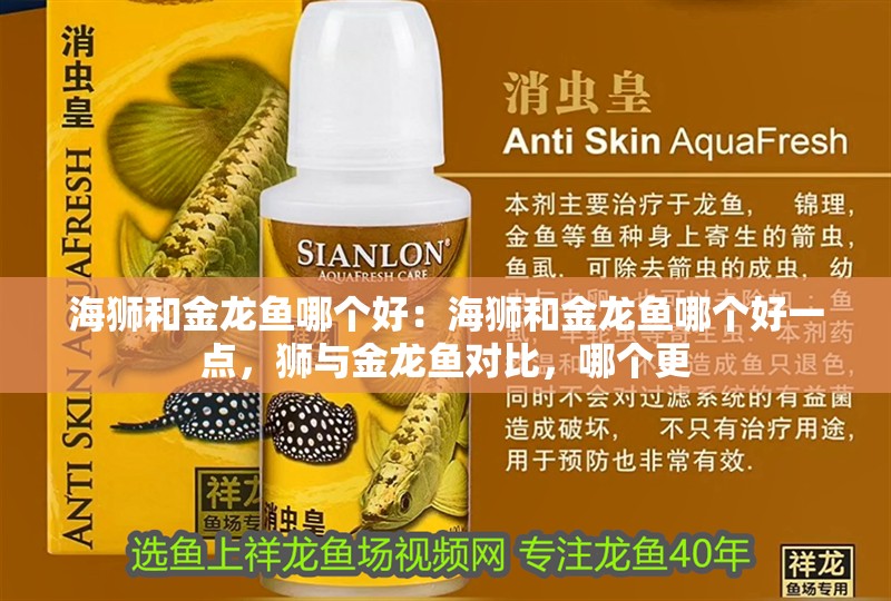 海獅和金龍魚哪個(gè)好：海獅和金龍魚哪個(gè)好一點(diǎn)，獅與金龍魚對(duì)比，哪個(gè)更
