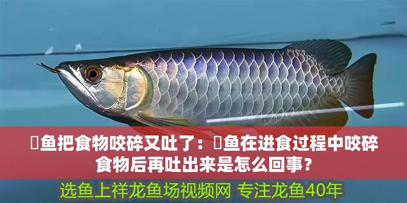 魟魚把食物咬碎又吐了：魟魚在進食過程中咬碎食物后再吐出來是怎么回事？