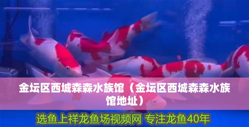 金壇區西城森森水族館（金壇區西城森森水族館地址）