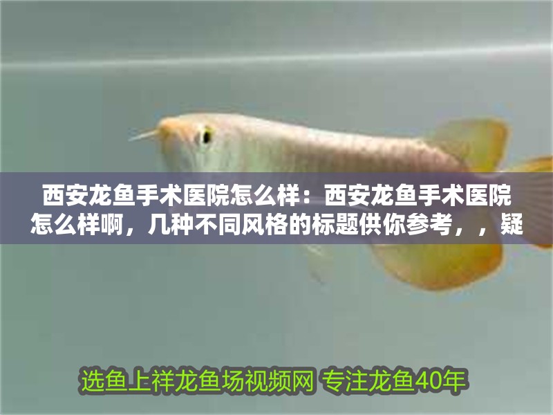 西安龍魚手術醫院怎么樣：西安龍魚手術醫院怎么樣啊，幾種不同風格的標題供你參考，，疑問探究風，深度剖析，西安龍魚手術醫院究竟怎么樣？，直白詢問風，西安龍魚手術醫院的真實情況如何？，好奇揭秘風，探秘西安龍魚手術醫院，