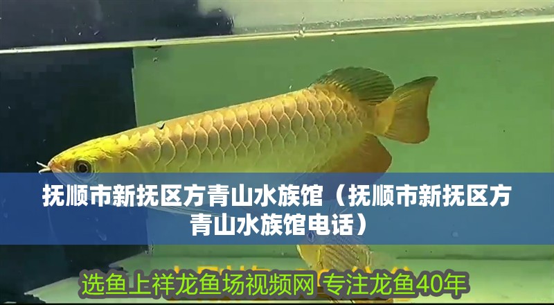 撫順市新?lián)釁^(qū)方青山水族館（撫順市新?lián)釁^(qū)方青山水族館電話）
