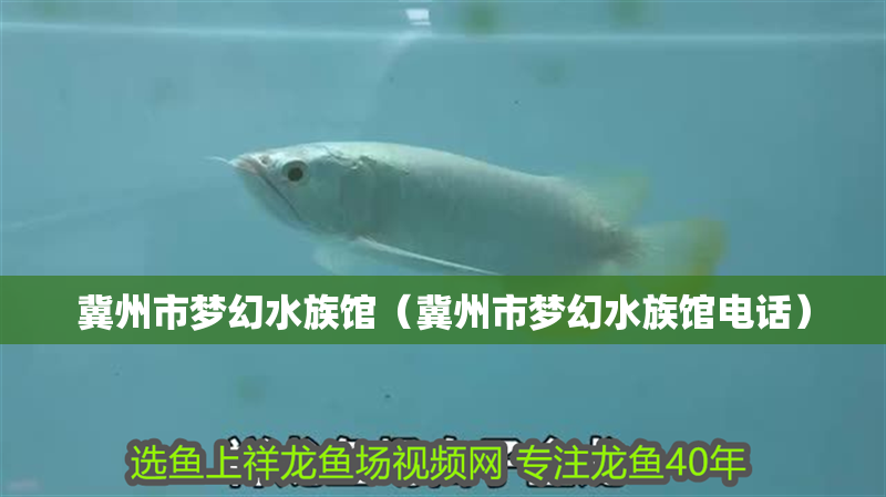 冀州市夢幻水族館（冀州市夢幻水族館電話）
