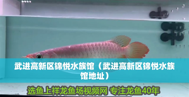 武進高新區(qū)錦悅水族館（武進高新區(qū)錦悅水族館地址）