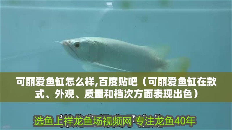 可麗愛魚缸怎么樣,百度貼吧（可麗愛魚缸在款式、外觀、質量和檔次方面表現出色）