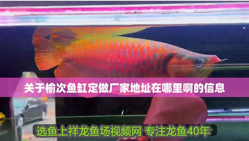 關于榆次魚缸定做廠家地址在哪里啊的信息