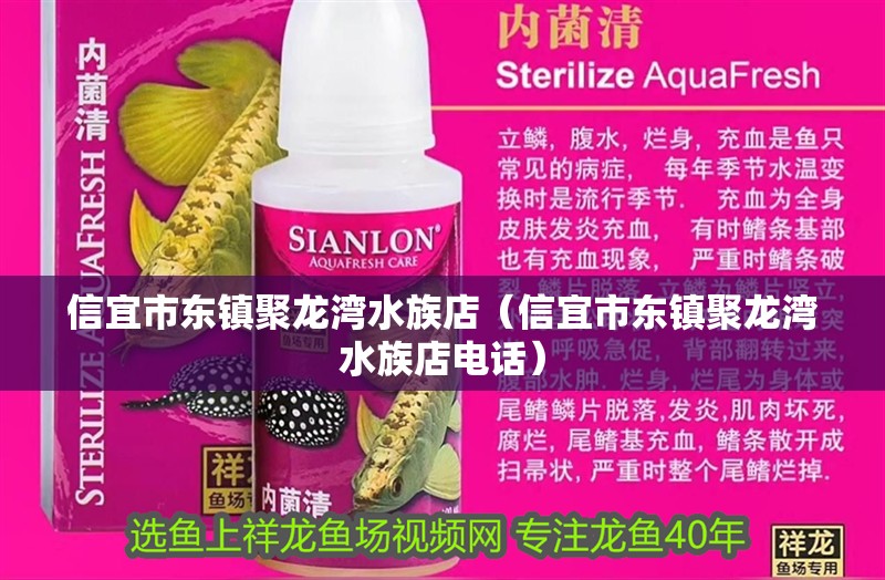 信宜市東鎮聚龍灣水族店（信宜市東鎮聚龍灣水族店電話）