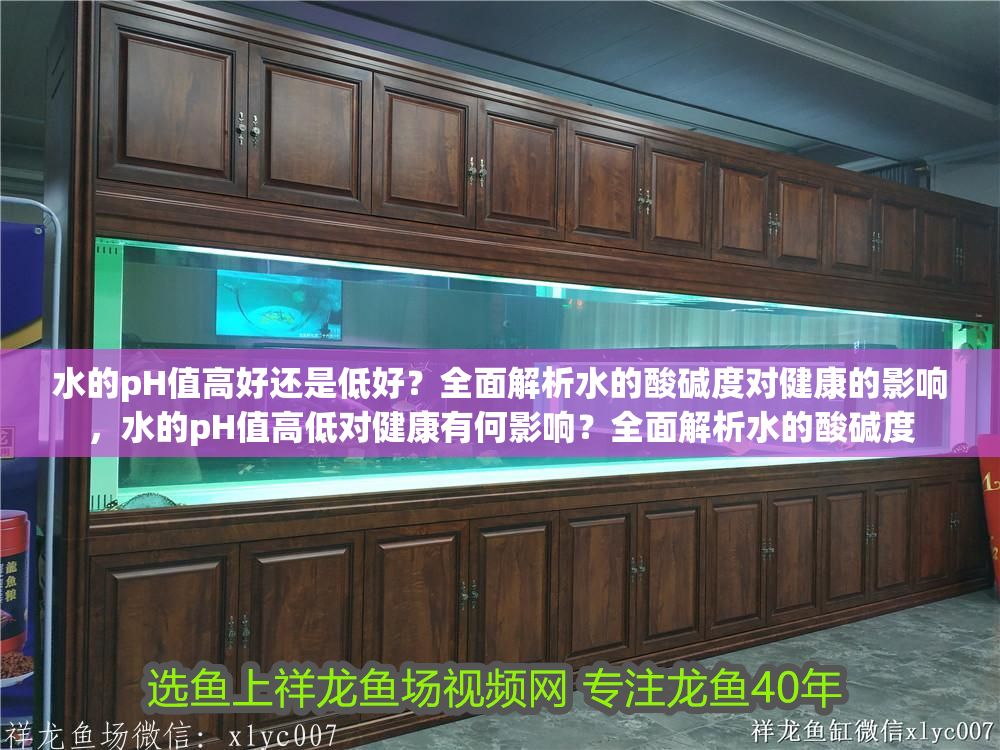 詳細閱讀:水的pH值高好還是低好?全面解析水的酸堿度對健康的影響,水的pH值高低對健康有何影響?全面解析水的酸堿度 水的pH值高好還是低好?全面解析水的酸堿度對健康的影響,水的pH值高低對健康有何影響?全面解析水的酸堿度