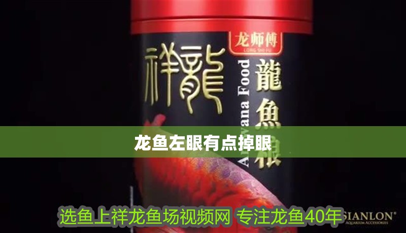 龍魚左眼有點掉眼