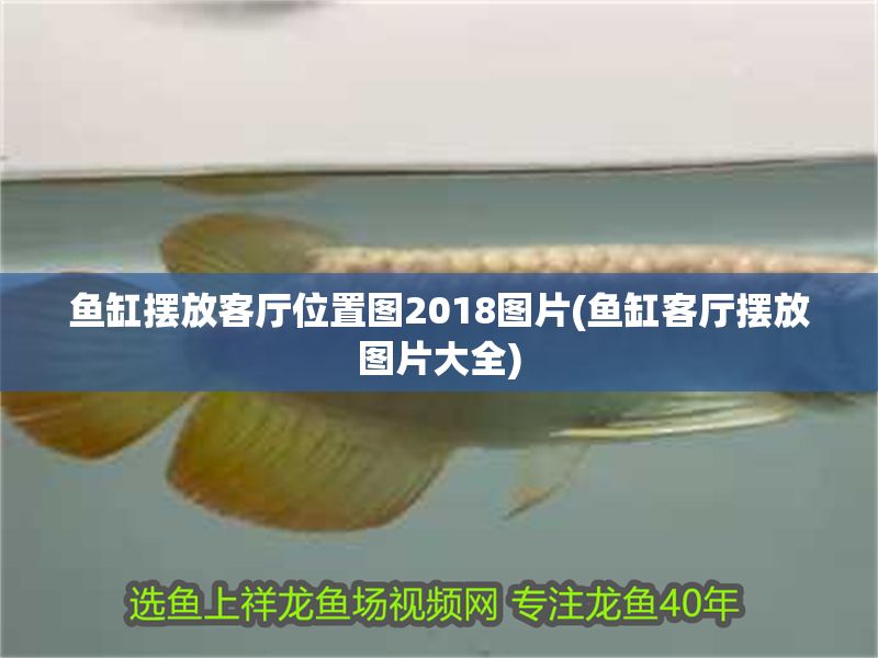 魚缸擺放客廳位置圖2018圖片(魚缸客廳擺放圖片大全)