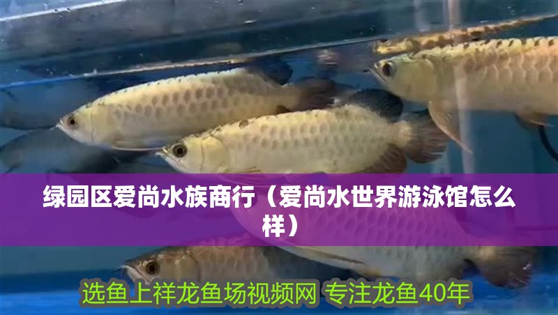 綠園區愛尚水族商行（愛尚水世界游泳館怎么樣）