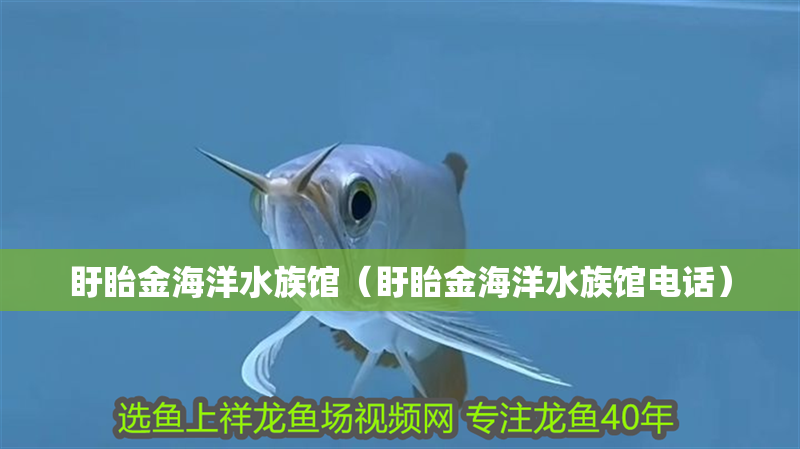 盱眙金海洋水族館（盱眙金海洋水族館電話）