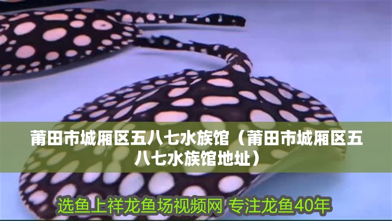 莆田市城廂區五八七水族館（莆田市城廂區五八七水族館地址）