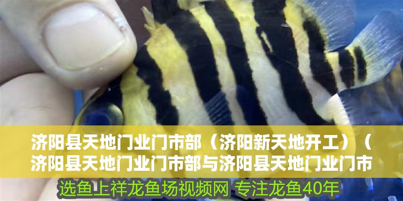 濟(jì)陽(yáng)縣天地門業(yè)門市部（濟(jì)陽(yáng)新天地開(kāi)工）（濟(jì)陽(yáng)縣天地門業(yè)門市部與濟(jì)陽(yáng)縣天地門業(yè)門市部合作） 濟(jì)陽(yáng)縣天地門業(yè)門市部（濟(jì)陽(yáng)新天地開(kāi)工）（濟(jì)陽(yáng)縣天地門業(yè)門市部與濟(jì)陽(yáng)縣天地門業(yè)門市部合作） 全國(guó)水族館企業(yè)名錄