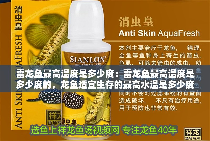 雷龍魚最高溫度是多少度：雷龍魚最高溫度是多少度的，龍魚適宜生存的最高水溫是多少度？