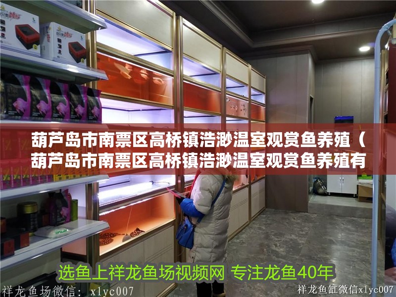 葫蘆島市<strong><mark>南票</mark></strong>區高橋鎮浩渺溫室觀賞魚養殖（葫蘆島市<strong><mark>南票</mark></strong>區高橋鎮浩渺溫室觀賞魚養殖有限公司）【葫蘆島市<strong><mark>南票</mark></strong>區高橋鎮浩渺溫室觀賞魚養殖】