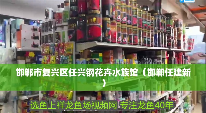 邯鄲市復興區任興鋼花卉水族館（邯鄲任建新）