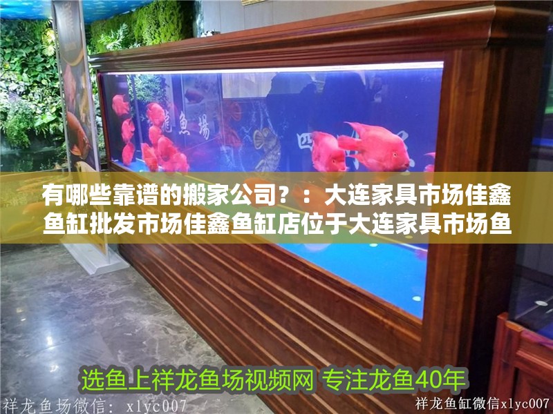 有哪些靠譜的搬家公司？：大連家具市場佳鑫魚缸批發市場佳鑫魚缸店位于大連家具市場魚缸店