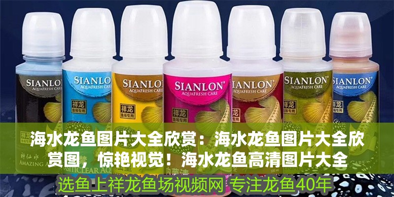 海水龍魚圖片大全欣賞：海水龍魚圖片大全欣賞圖，驚艷視覺！海水龍魚高清圖片大全