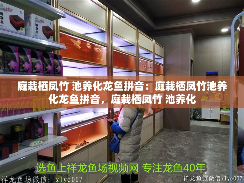 庭栽棲鳳竹 池養化龍魚拼音：庭栽棲鳳竹池養化龍魚拼音，庭栽棲鳳竹 池養化