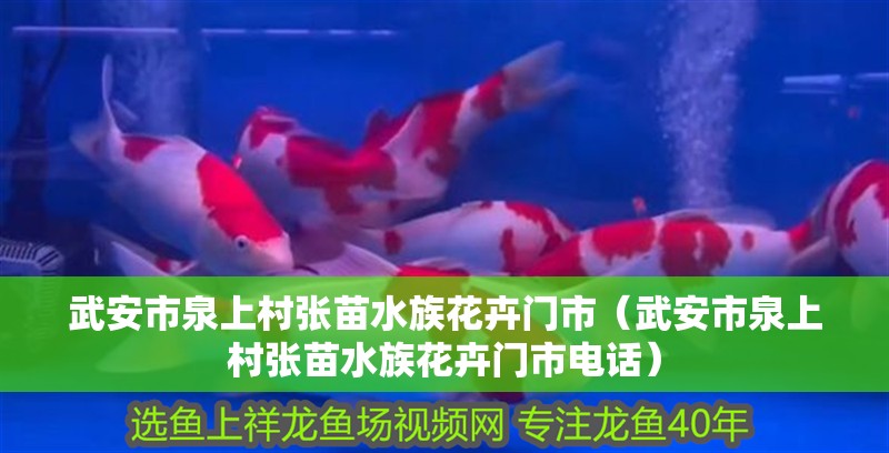 武安市泉上村張苗水族花卉門市(武安市泉上村張苗水族花卉門市電話) 全國水族館企業名錄 第2張 武安市泉上村張苗水族花卉門市(武安市泉上村張苗水族花卉門市電話) 武安市泉上村張苗水族花卉門市(武安市泉上村張苗水族花卉門市電話) 全國水族館企業名錄 第2張