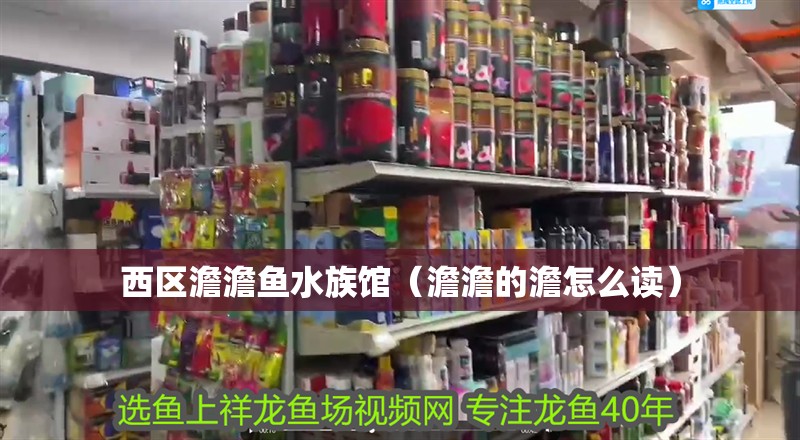 西區澹澹魚水族館（澹澹的澹怎么讀）