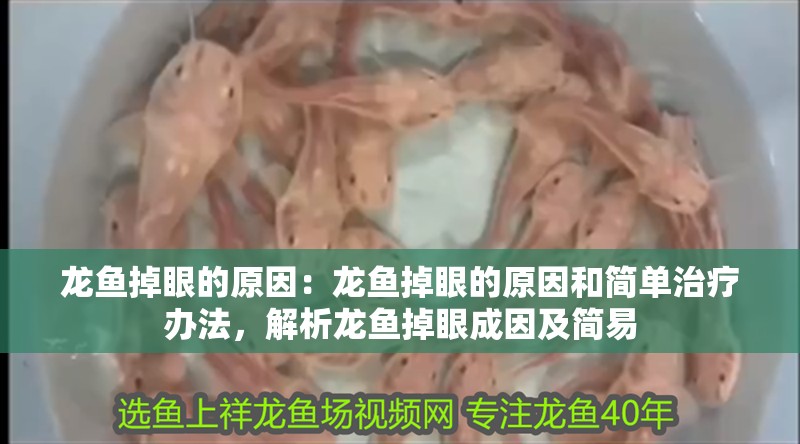 龍魚掉眼的原因：龍魚掉眼的原因和簡單治療辦法，解析龍魚掉眼成因及簡易