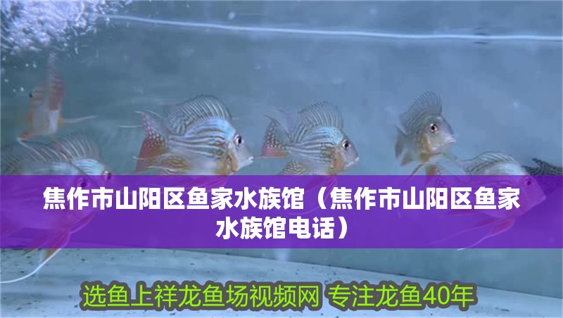 焦作市山陽(yáng)區(qū)魚家水族館（焦作市山陽(yáng)區(qū)魚家水族館電話）