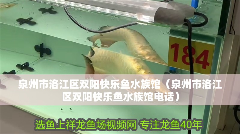 泉州市洛江區雙陽快樂魚水族館（泉州市洛江區雙陽快樂魚水族館電話）