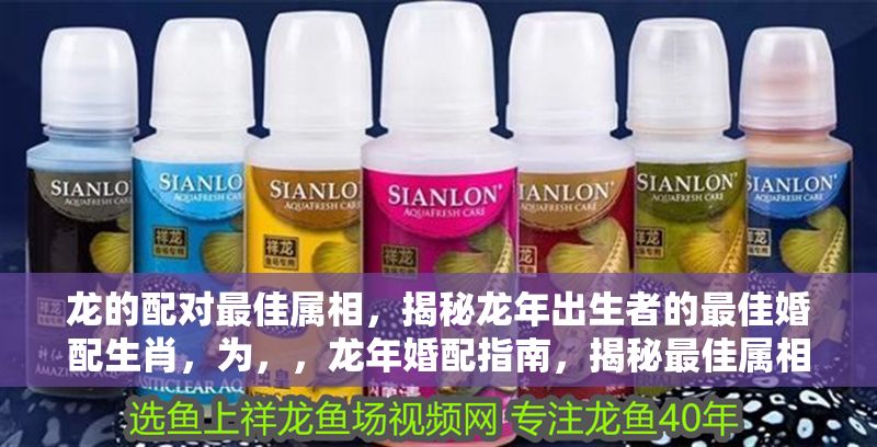 龍的配對最佳屬相，揭秘龍年出生者的最佳婚配生肖，為，，龍年婚配指南，揭秘最佳屬相配對與幸福組合
