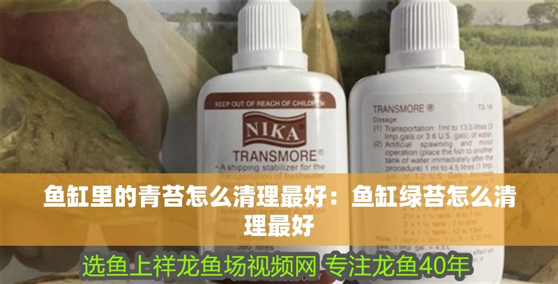 魚缸里的青苔怎么清理最好：魚缸綠苔怎么清理最好