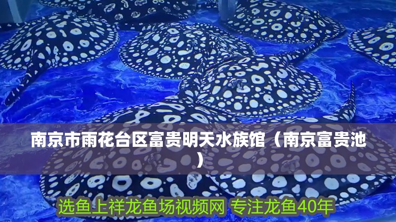 南京市雨花臺區(qū)富貴明天水族館（南京富貴池）
