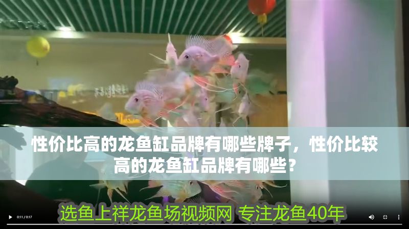 性價比高的龍魚缸品牌有哪些牌子，性價比較高的龍魚缸品牌有哪些？