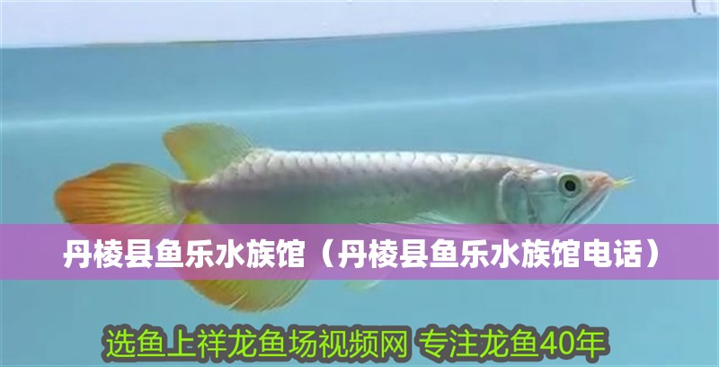 丹棱縣魚樂水族館（丹棱縣魚樂水族館電話）