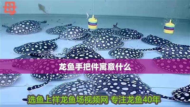 龍魚手把件寓意什么