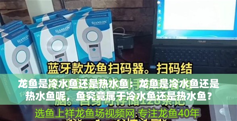 龍魚是冷水魚還是熱水魚：龍魚是冷水魚還是熱水魚呢，魚究竟屬于冷水魚還是熱水魚？