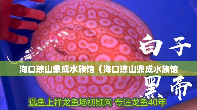 海口瓊山鼎成水族館（海口瓊山鼎成水族館