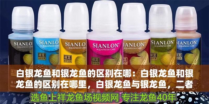 白銀龍魚和銀龍魚的區別在哪：白銀龍魚和銀龍魚的區別在哪里，白銀龍魚與銀龍魚，二者究竟有何區別？