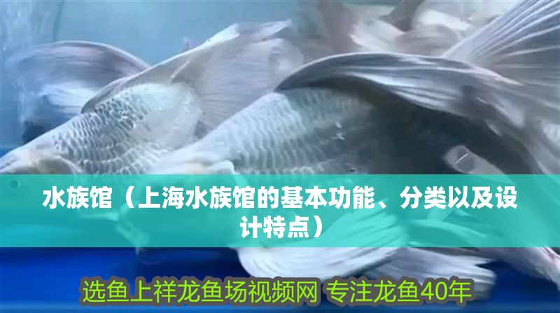 水族館（上海水族館的基本功能、分類以及設計特點）