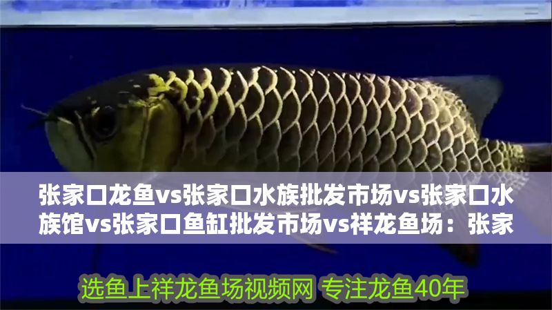 張家口龍魚vs張家口水族批發市場vs張家口水族館vs張家口魚缸批發市場vs祥龍魚場：張家口水族館特色展覽祥龍魚場魚類品種介紹