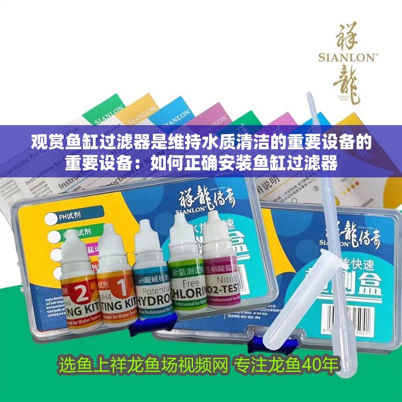 觀賞魚缸過濾器是維持水質清潔的重要設備的重要設備：如何正確安裝魚缸過濾器