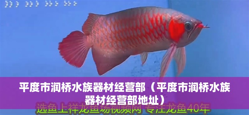 平度市潤橋水族器材經營部（平度市潤橋水族器材經營部地址）