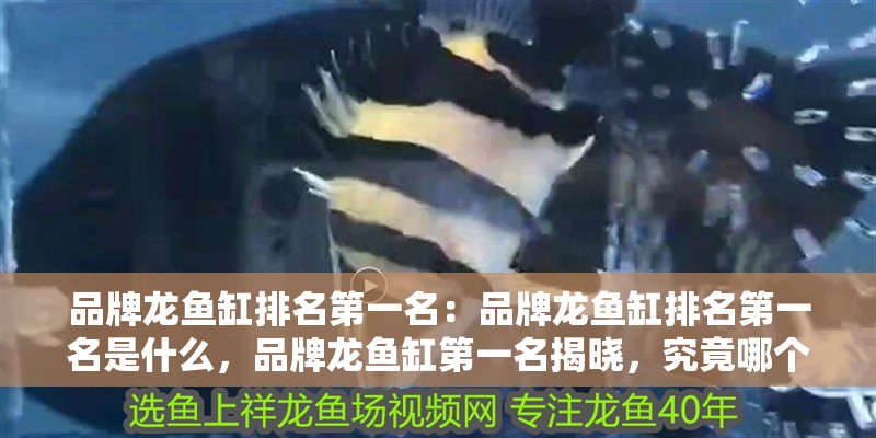 品牌龍魚缸排名第一名：品牌龍魚缸排名第一名是什么，品牌龍魚缸第一名揭曉，究竟哪個品牌榮登榜首？