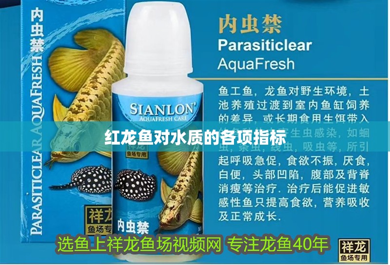 紅龍魚對水質(zhì)的各項指標