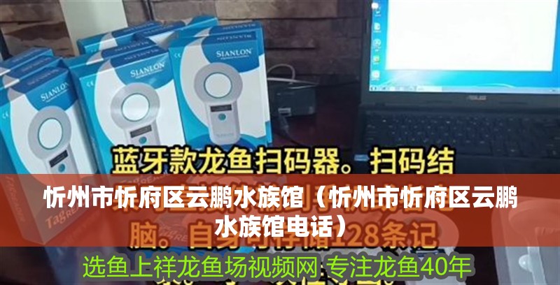 忻州市忻府區云鵬水族館（忻州市忻府區云鵬水族館電話）