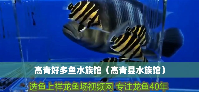 高青好多魚水族館（高青縣水族館）