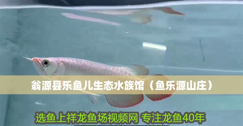 翁源縣樂魚兒生態(tài)水族館（魚樂源山莊）