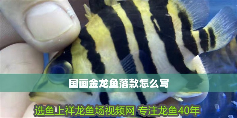 國畫金龍魚落款怎么寫