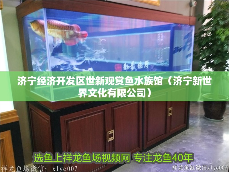 濟寧經濟開發區世新觀賞魚水族館（濟寧新世界文化有限公司）