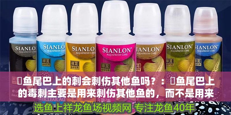 魟魚尾巴上的刺會刺傷其他魚嗎？：魟魚尾巴上的毒刺主要是用來刺傷其他魚的，而不是用來刺傷其他魚的