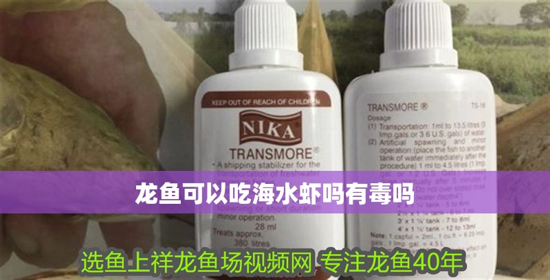 龍魚可以吃海水蝦嗎有毒嗎